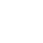 Scaling and Polishing